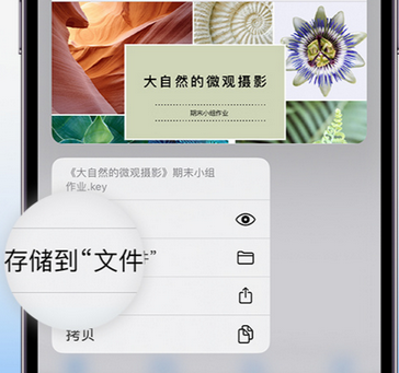 封开apple维修中心分享iPhone文件应用中存储和找到下载文件