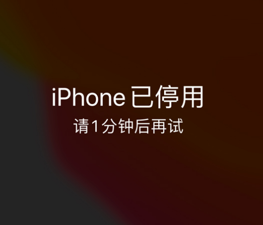 封开苹果手机维修分享:iPhone 显示“不可用”或“已停用”怎么办？还能保留数据吗？ 