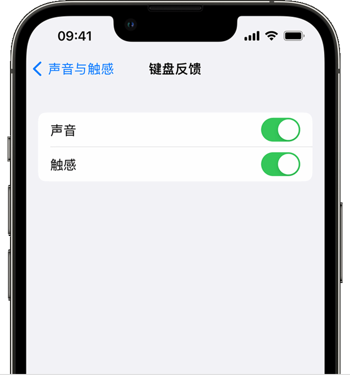 封开苹果14维修店分享如何在 iPhone 14 机型中使用触感键盘 