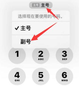 封开苹果14维修店分享iPhone 14 Pro Max使用副卡打电话的方法 