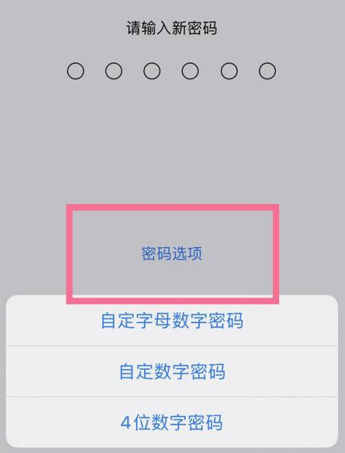 封开苹果14维修分享iPhone 14plus设置密码的方法 