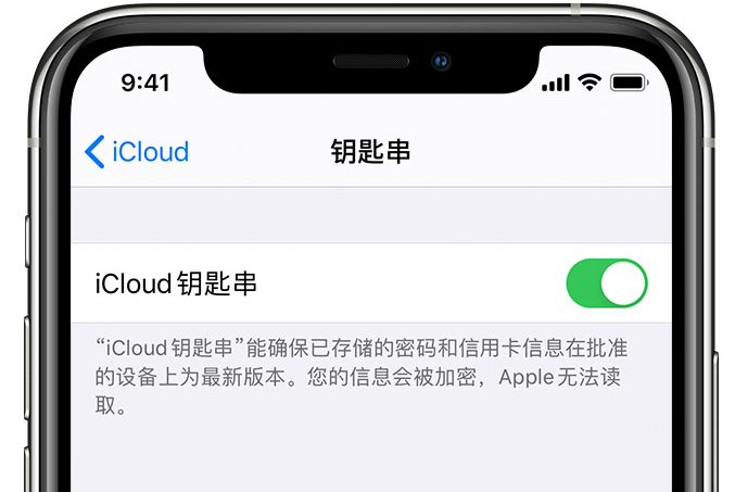 封开苹果手机维修分享在 iPhone 上开启 iCloud 钥匙串之后会储存哪些信息 