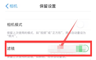 封开苹果13维修分享iPhone13拍照有绿点是怎么回事 