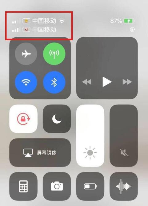 封开苹果手机维修分享为 iPhone 12 双卡设置标签 